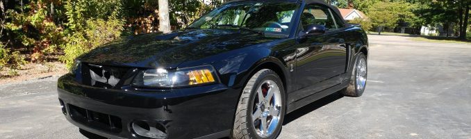 Black Mustang Cobra